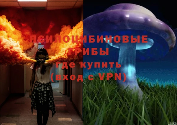 apvp Нягань