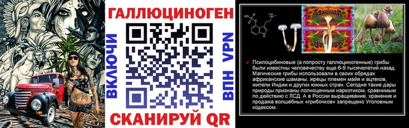 купить наркоту  Чегем  Псилоцибиновые грибы прущие грибы 